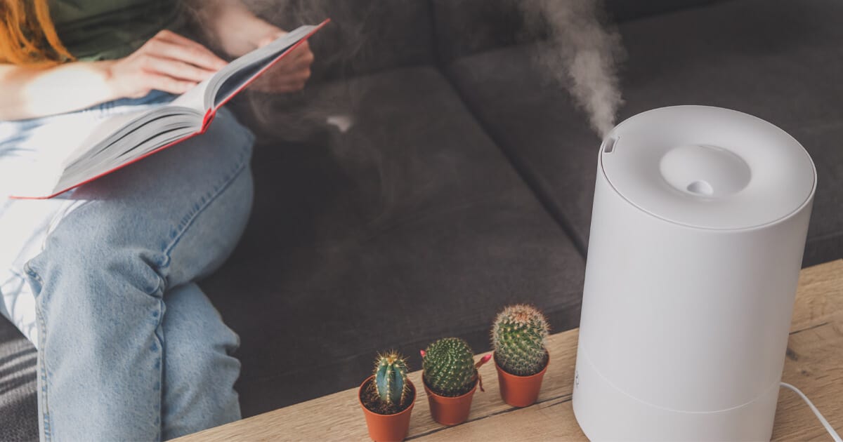 Difference Between A Diffuser And A Humidifier Best Home Aroma