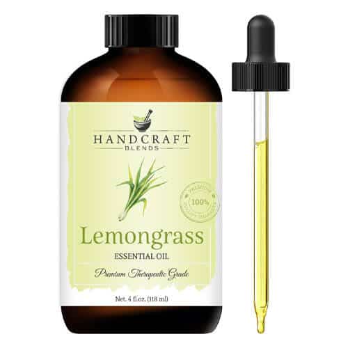 Are Reed Diffusers Safe For Pets Best Home Aroma