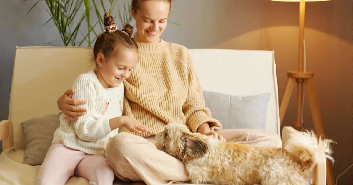 The Best Carrier Oils For Essential Oil Diffusers At Home Best Home Aroma