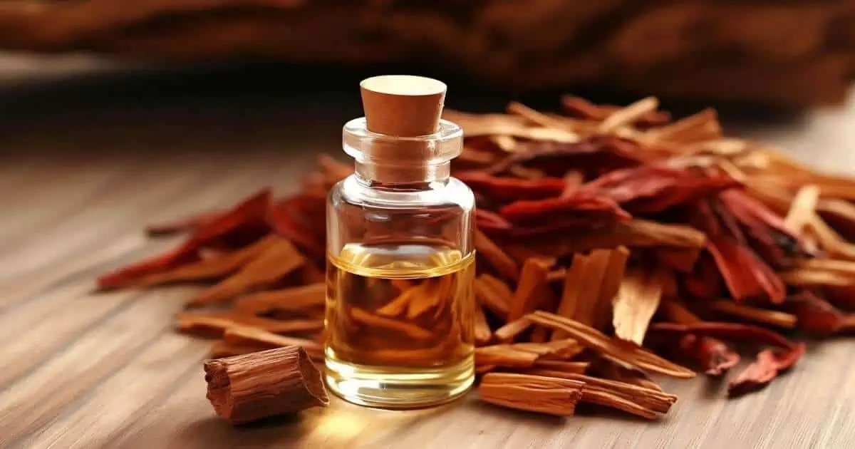 The 10 Best Fragrance Oils For Diffusers Best Home Aroma