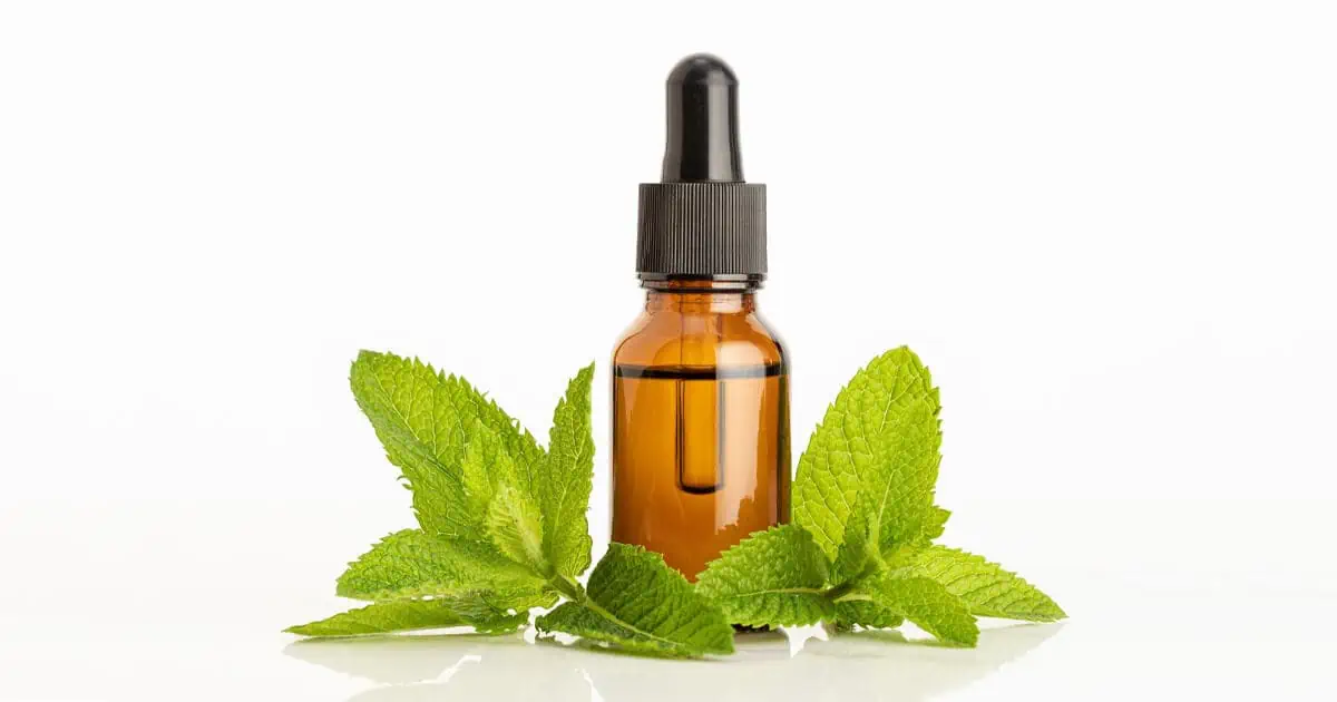 best peppermint essential oils for home