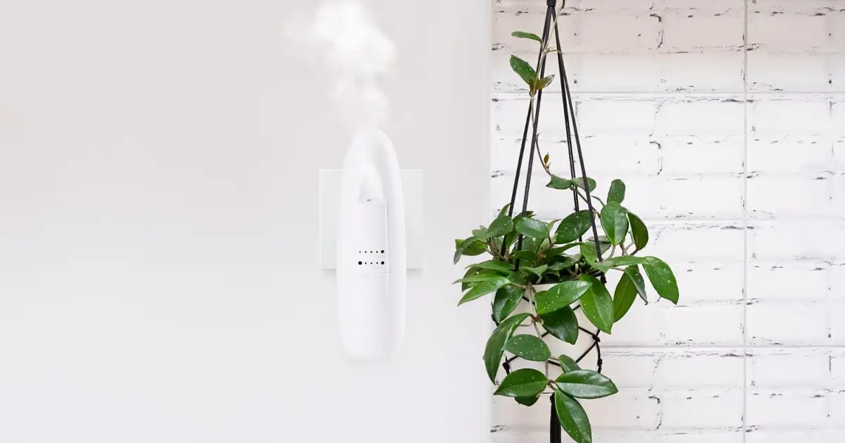 best plug-in essential oil diffusers for home fragrance