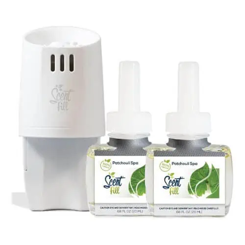 The Best NonToxic Home Fragrance A Guide To All Natural Scents Best