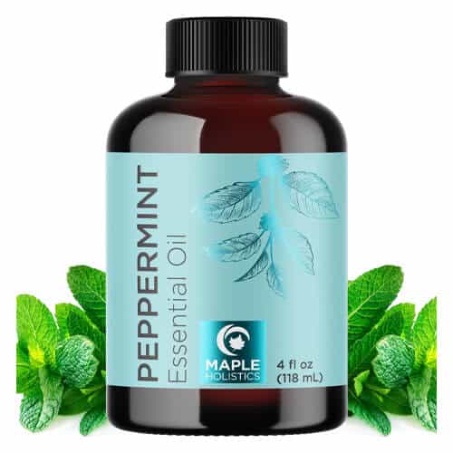 maple holistic peppermint essential oil