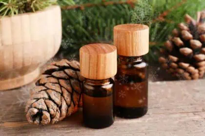essential oil blends for winter