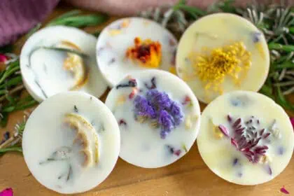 best wax melts for your home