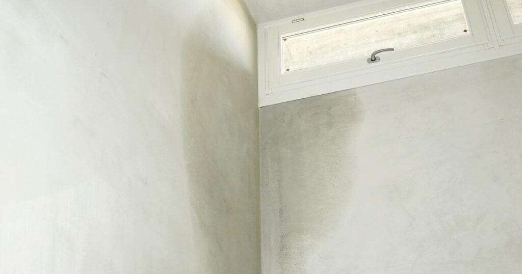 moisture-in-walls
