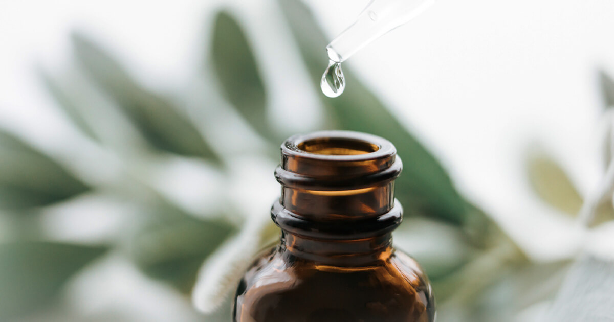 best white tea essential oils