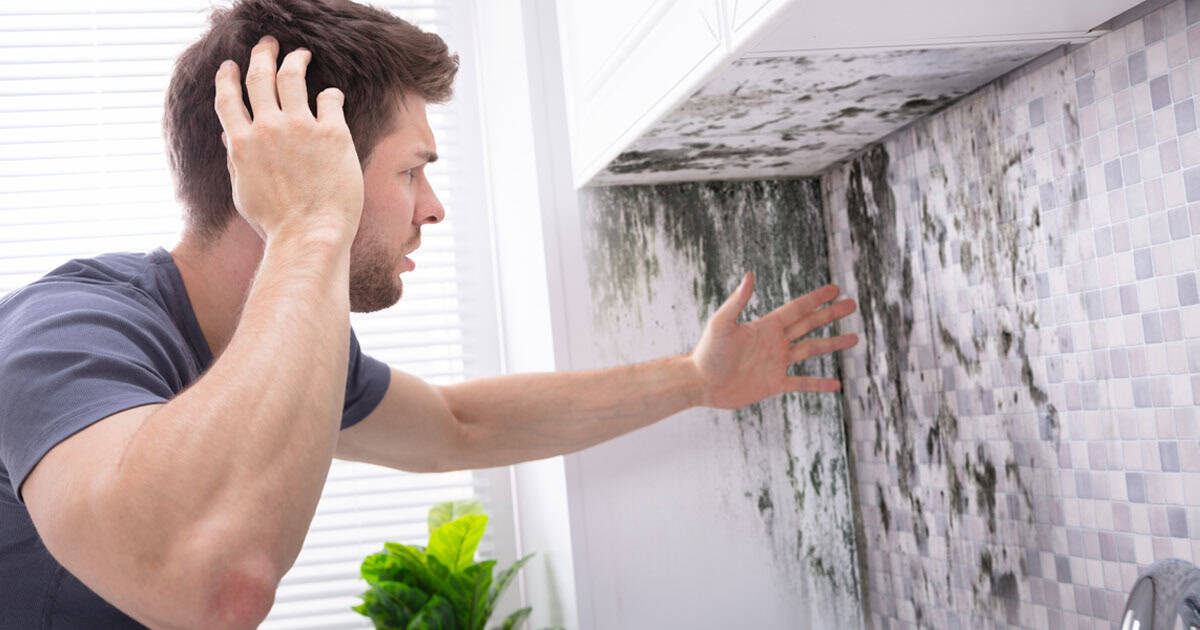 How to Remove Mildew Smell in Your Home