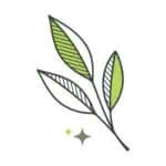 bha luxury favicon dp
