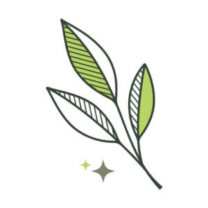 bha luxury favicon dp