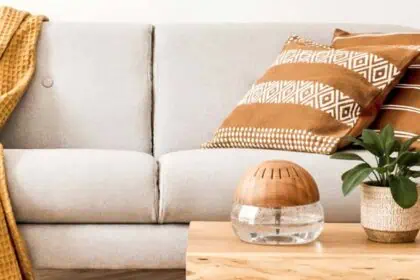 best air revitalizers for air purification