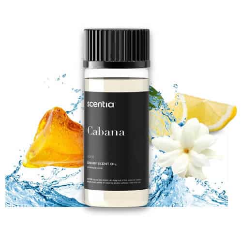 scentia hotel scent diffuser oil