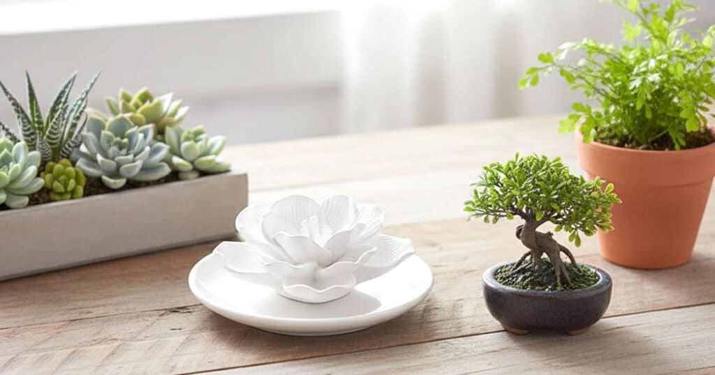 porcelain aroma stone diffuser