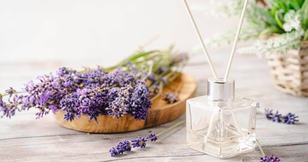 15 Best Reed Diffusers for Bathroom: A Buying Guide 12 reed diffuser with lavender