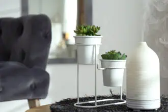 healthiest ways to fragrance your home