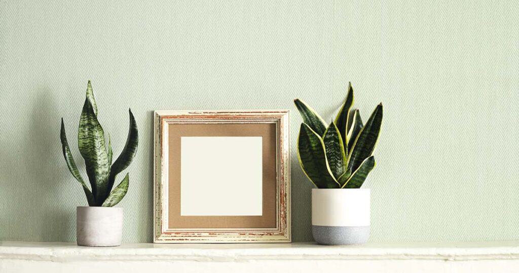 The 10 Healthiest Ways to Fragrance Your Home: A 2026 Guide 12 indoor plants with wooden picture frame