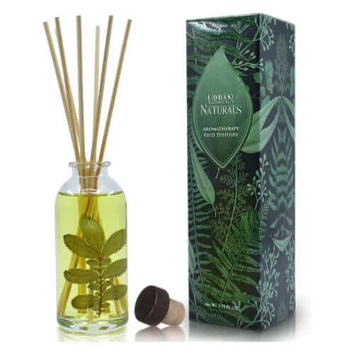 The 10 Healthiest Ways to Fragrance Your Home: A 2026 Guide 26 urban naturals eucalyptus sage reed diffuser