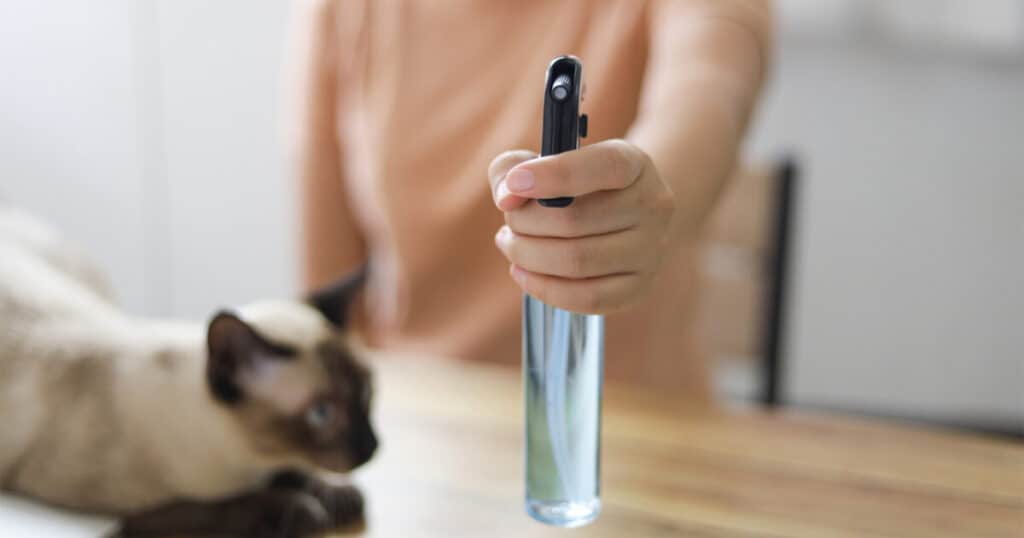 10 Best Linen Sprays to Freshen Your Sofa, Curtains, and Car 24 lady holding a spray bottle and a cat on the table