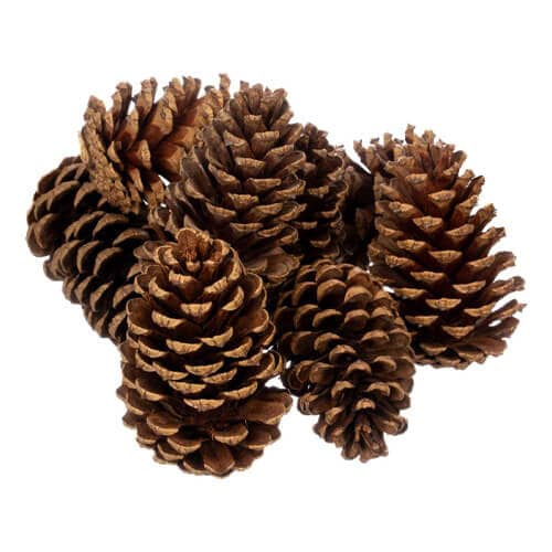 7 Ways to Make an Artificial Christmas Tree Smell Real 13 cinnamon scented pine cones decor
