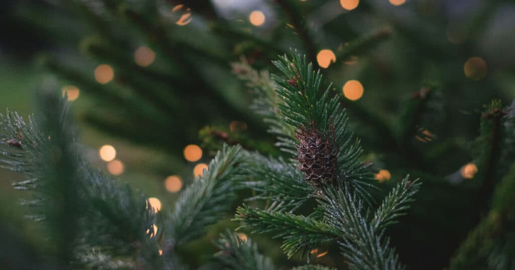 7 Ways to Make an Artificial Christmas Tree Smell Real 18 close up photo of a christmas tree